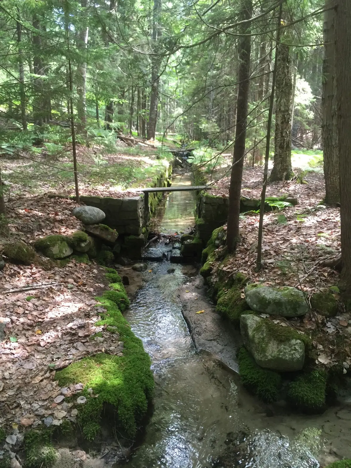 Old stone footbridge over Cold Brook in the woods near Beech Mountain