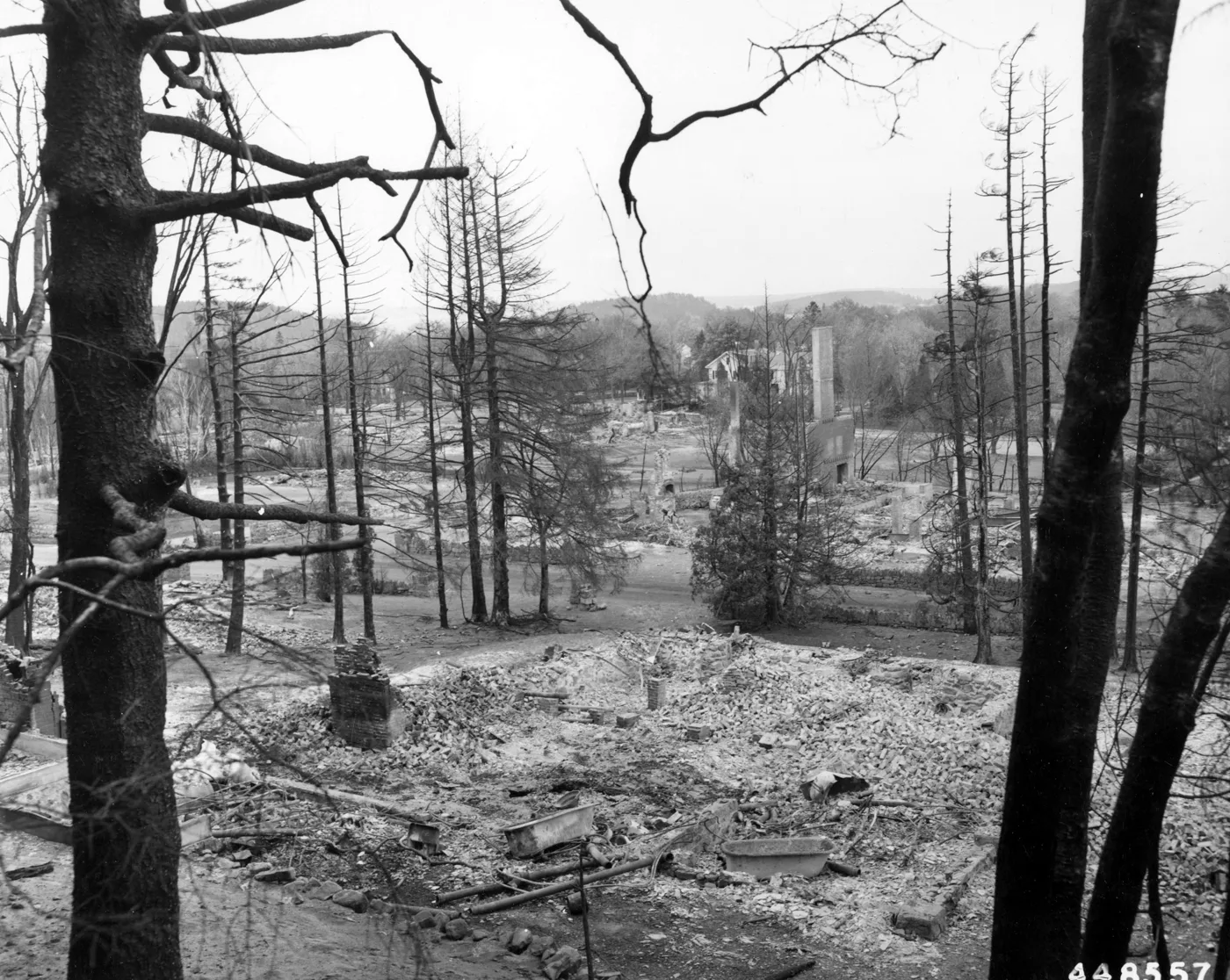 Burned house lots in Bar Harbor after the fire, with fire-killed trees in front and the shells of large hotels on the hill behind