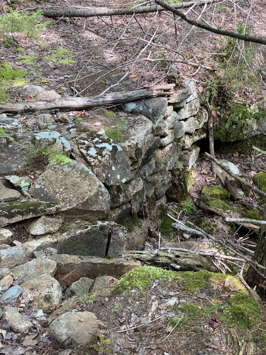 Dry-laid stone abutment of an old footbridge near Horse Tavern brook