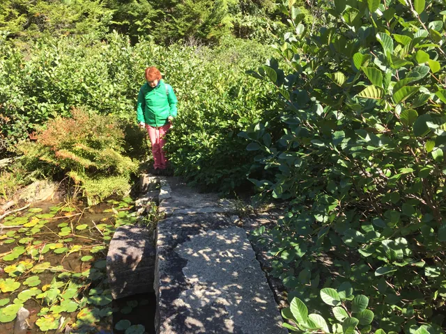 A hiker in a green jacket walks onto the narrow stone deck, with lily pads to the left