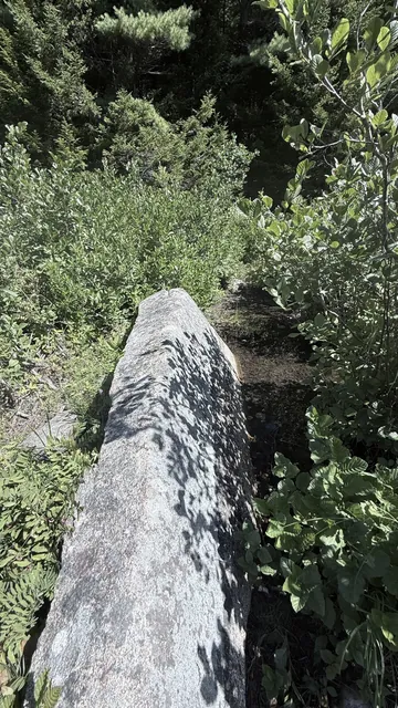 A long granite side stone of the bridge almost hidden by shrubs in 2025