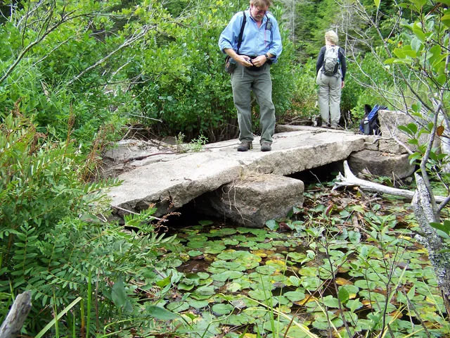 Two hikers stand on the long flat deck stones of the bridge, with lily pads in the brook below