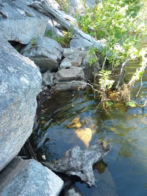 Flat stones and a fallen log in shallow water between boulders at the lake's edge