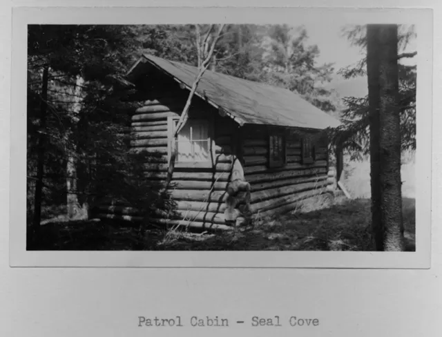 Archival print of the same log cabin from the side, among spruce trees, captioned Patrol Cabin - Seal Cove