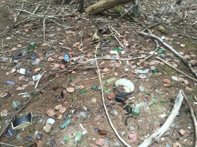 Old bottles, jars and rusted cans scattered across the leaf litter