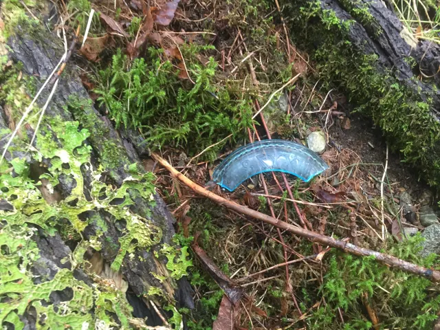 A curved fragment of blue glass on the forest floor