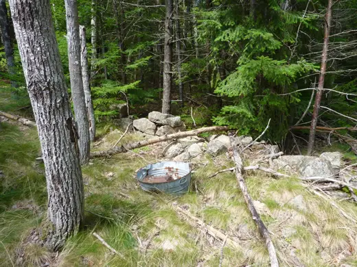 Stone foundation and washtub at the second pest house site
