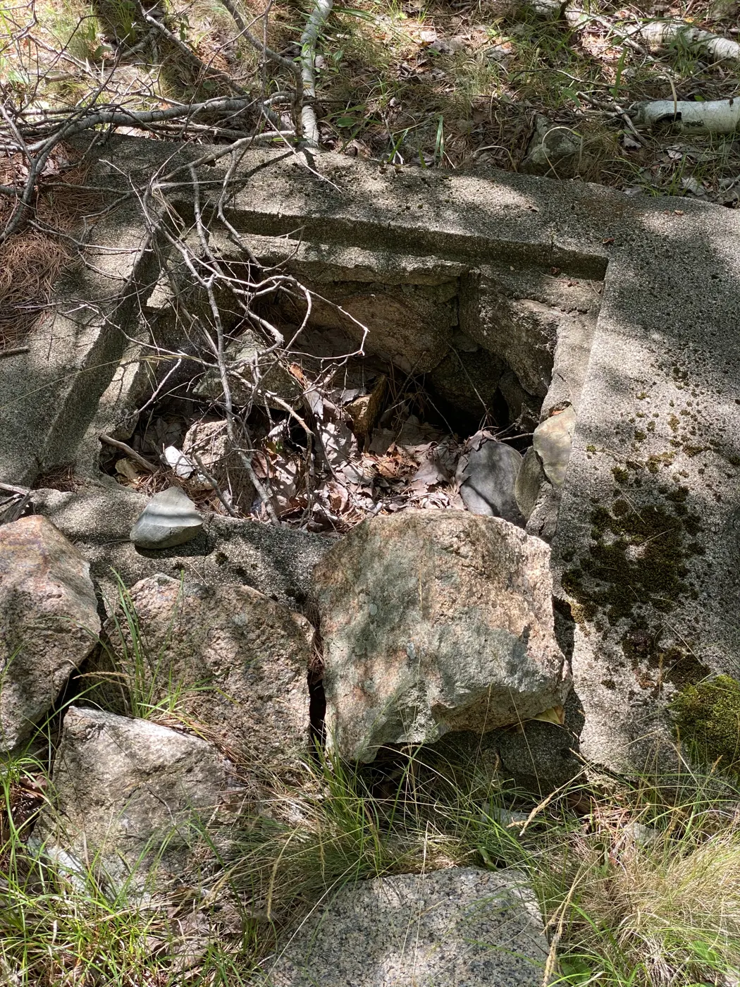 Square stone and concrete well curb choked with leaves and branches
