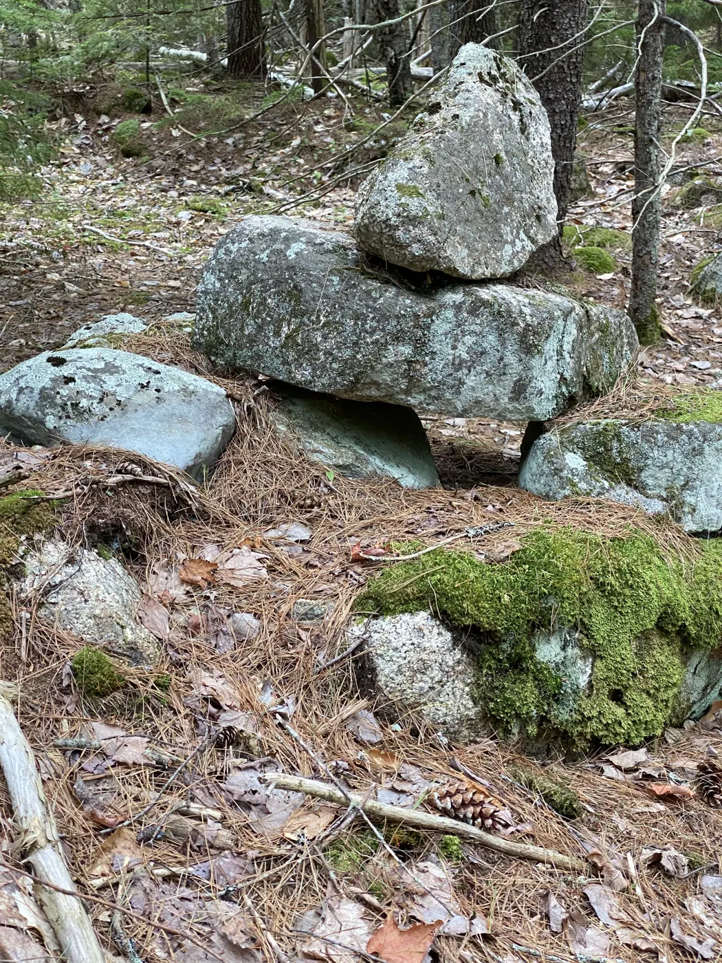Bates-style cairn of stacked flat stones in the woods near the second pest house