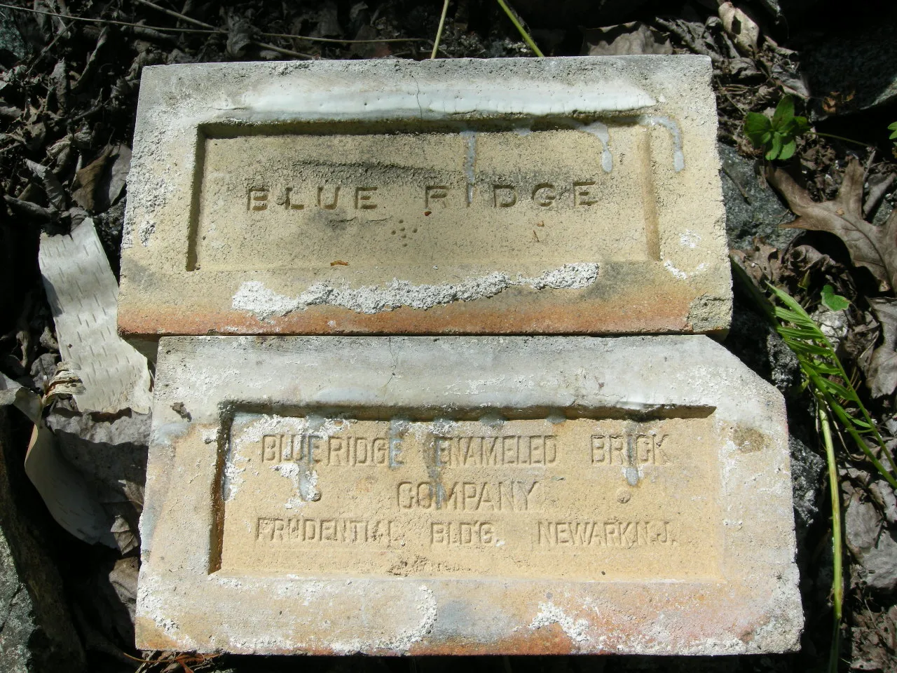 Two white glazed bricks stamped Blue Ridge Enameled Brick Company, Prudential Bldg, Newark NJ