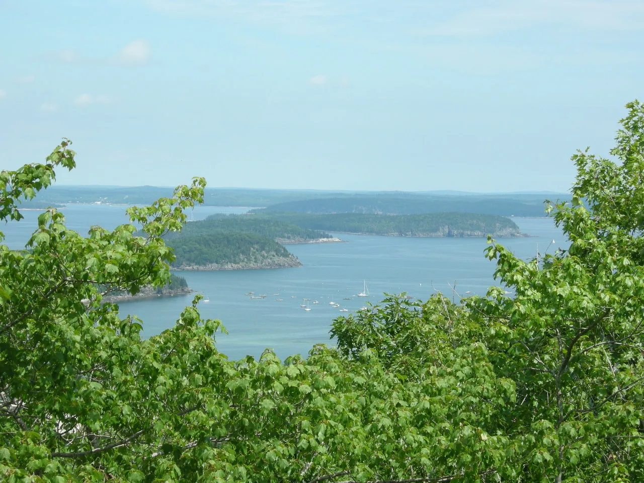 View from a wooded ledge over Frenchman Bay and its islands