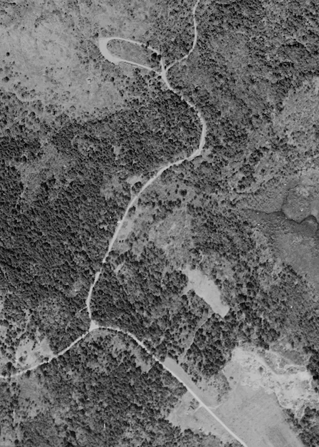 1944 black and white aerial photograph with a pale teardrop-shaped loop road at the top and a road winding down through the woods