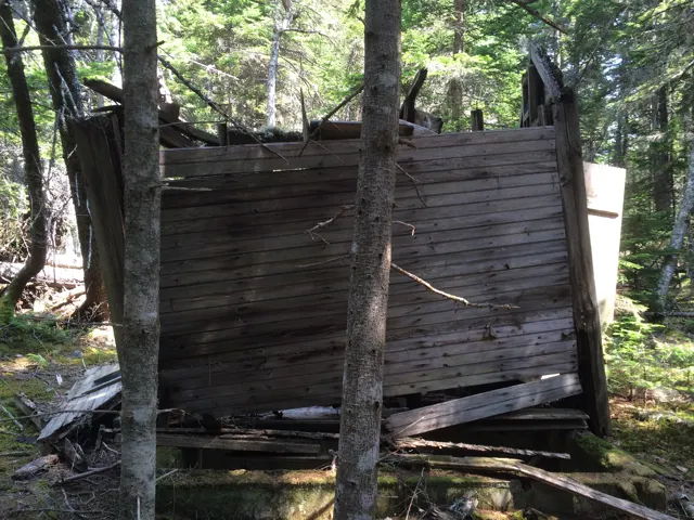 The board walls of the toilet building leaning and partly collapsed among trees
