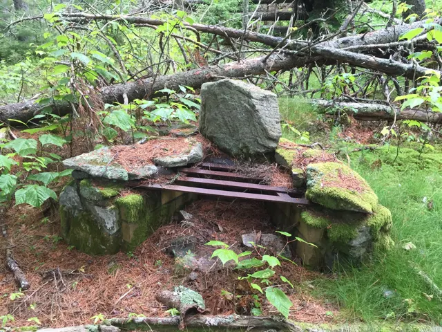 A mossy stone fireplace with its grate among ferns and fallen branches