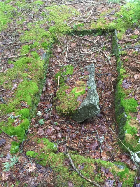 A long rectangular stone-lined pit filled with moss and leaves
