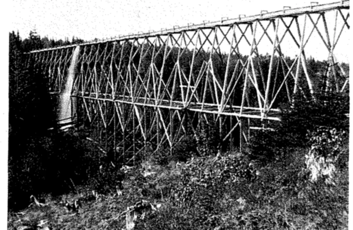 Old photograph of a tall timber trestle carrying a flume across a wooded valley